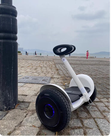 CL 2025 bestsellerNice Quality segway L8 Self Balancing Scooters for Adult Kids 32km Range 14km/h Intelligent Kick E-Scooter