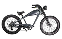 STLF OEM Factory Customized E Bike Dual Lithium Battery 750w Motor Vintage Cafe Racer Electric Bicycle Fat Tire Electric Road Bi