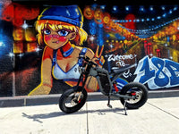 EKXBike X21 Readygo Adult E-bike 2000W Powerful Motor 48V35AH Battery 55km/h Speed 20'x4.0 Tires Ideal for Snow Mountain Terrain