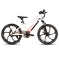 JOYSTAR Electric Bike for Kids Teens Ages 7+ with 250W Motor, 15 Miles 15MPH Electric Mountain Bicycle Safe Mini Ebikes
