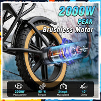 RIDSTAR Luxe30-25 Electric Bike for Adults Motor 2000W Max 34MPH Battery 48V 25Ah 20" Electric Dirt Bike Hydraulic 7-Speed