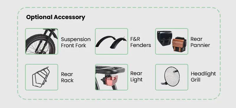 STLF OEM Factory Customized E Bike Dual Lithium Battery 750w Motor Vintage Cafe Racer Electric Bicycle Fat Tire Electric Road Bi