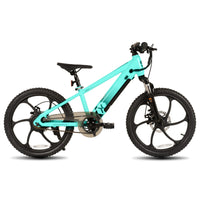 JOYSTAR Electric Bike for Kids Teens Ages 7+ with 250W Motor, 15 Miles 15MPH Electric Mountain Bicycle Safe Mini Ebikes