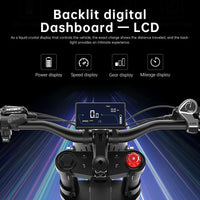 EKXBike X21 Readygo Adult E-bike 2000W Powerful Motor 48V35AH Battery 55km/h Speed 20'x4.0 Tires Ideal for Snow Mountain Terrain