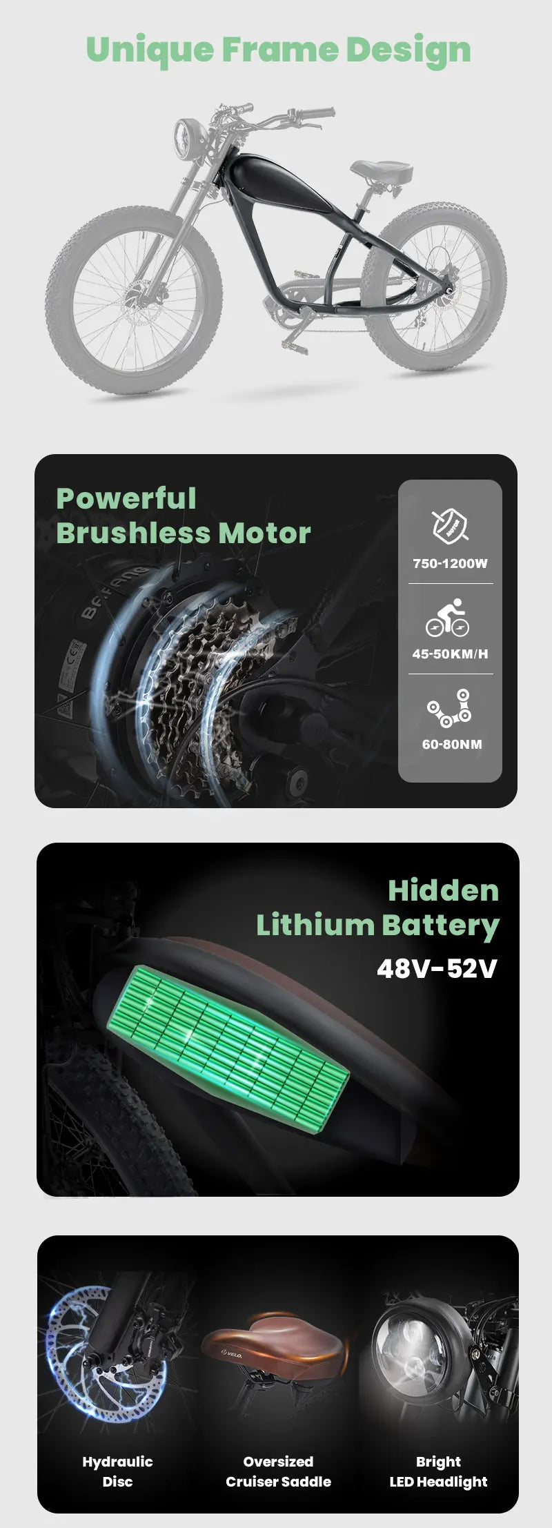 STLF OEM Factory Customized E Bike Dual Lithium Battery 750w Motor Vintage Cafe Racer Electric Bicycle Fat Tire Electric Road Bi