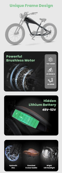 STLF OEM Factory Customized E Bike Dual Lithium Battery 750w Motor Vintage Cafe Racer Electric Bicycle Fat Tire Electric Road Bi