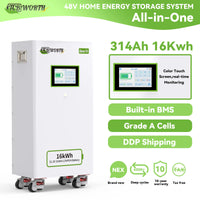 TCBWORTH 48V(51.2V) 314Ah Lithium Battery,200A BMS with CAN,RS485 Communication Interface,for Home Energy Storage,Solar System