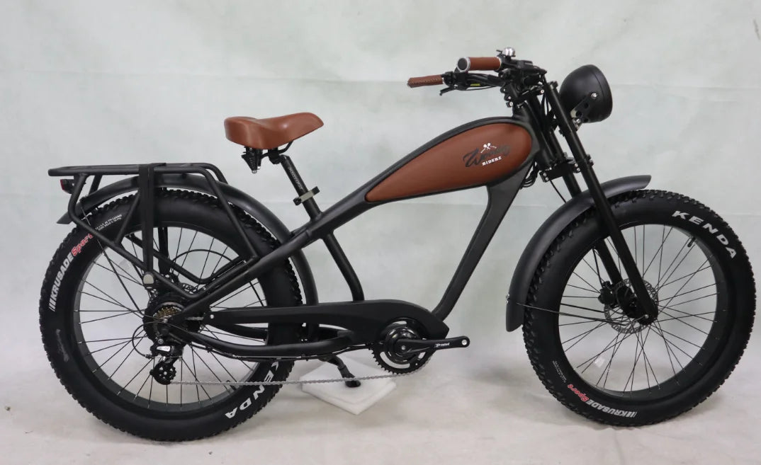 STLF OEM Factory Customized E Bike Dual Lithium Battery 750w Motor Vintage Cafe Racer Electric Bicycle Fat Tire Electric Road Bi