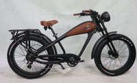 STLF OEM Factory Customized E Bike Dual Lithium Battery 750w Motor Vintage Cafe Racer Electric Bicycle Fat Tire Electric Road Bi