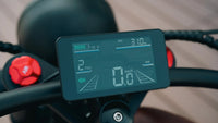 STLF OEM Factory Customized E Bike Dual Lithium Battery 750w Motor Vintage Cafe Racer Electric Bicycle Fat Tire Electric Road Bi