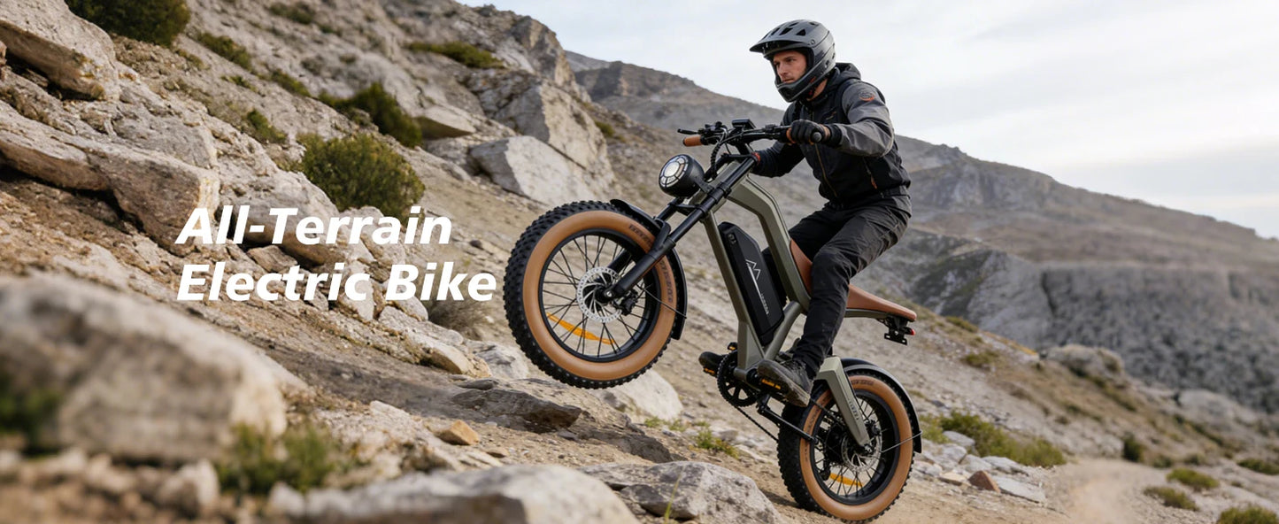 【1 Year Warranty】DYU M20 Electric Bicycle Peak 1500W Motor 48V18.2AH Lithium Battery Electric Bike Hydraulic Brake E-Bike，UL2849