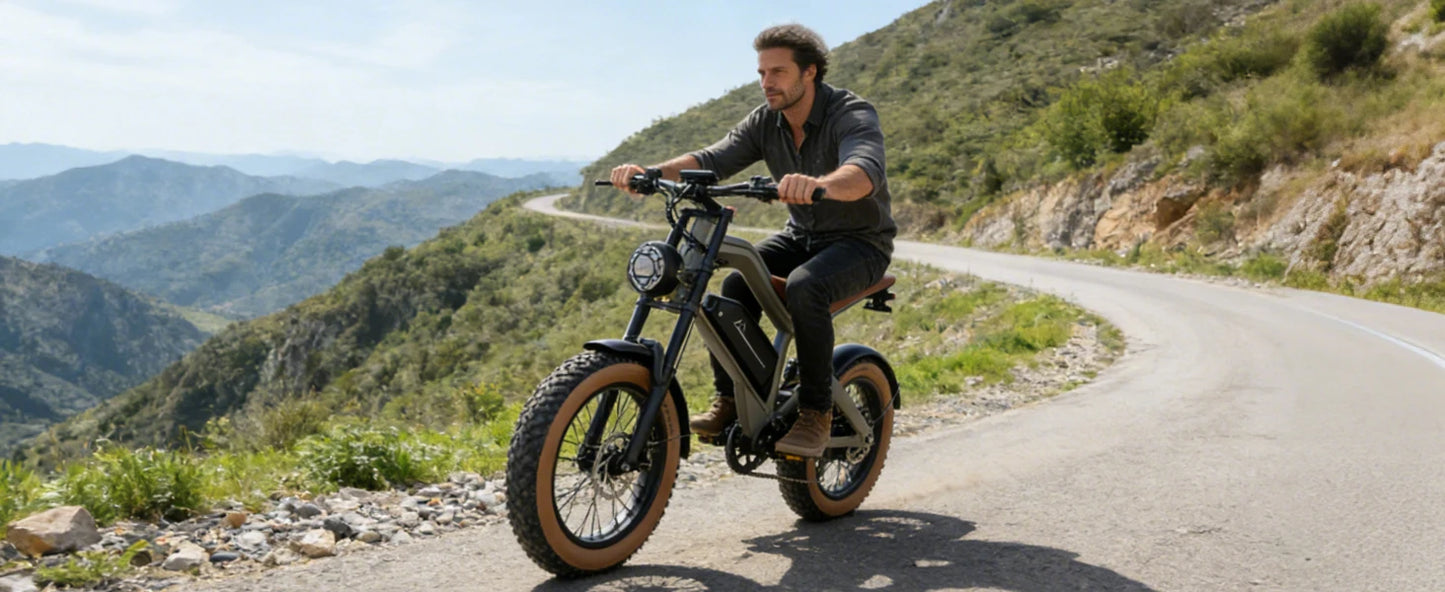 【1 Year Warranty】DYU M20 Electric Bicycle Peak 1500W Motor 48V18.2AH Lithium Battery Electric Bike Hydraulic Brake E-Bike，UL2849