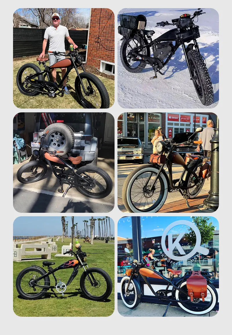 STLF OEM Factory Customized E Bike Dual Lithium Battery 750w Motor Vintage Cafe Racer Electric Bicycle Fat Tire Electric Road Bi