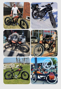 STLF OEM Factory Customized E Bike Dual Lithium Battery 750w Motor Vintage Cafe Racer Electric Bicycle Fat Tire Electric Road Bi
