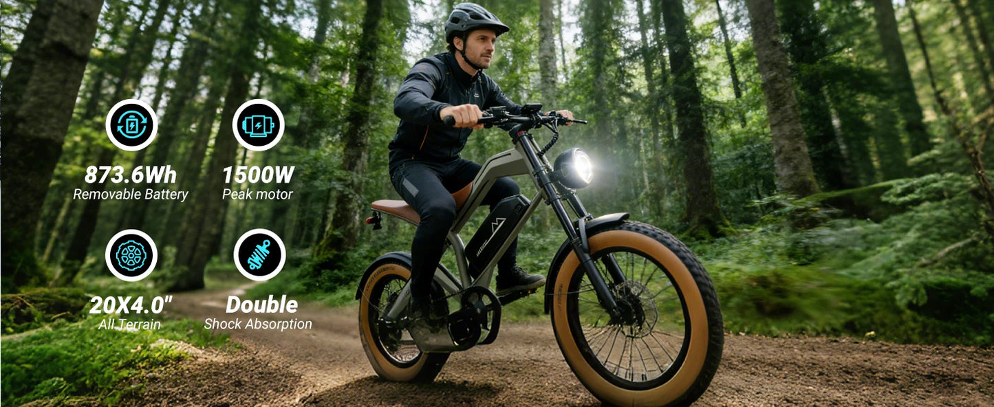 【1 Year Warranty】DYU M20 Electric Bicycle Peak 1500W Motor 48V18.2AH Lithium Battery Electric Bike Hydraulic Brake E-Bike，UL2849
