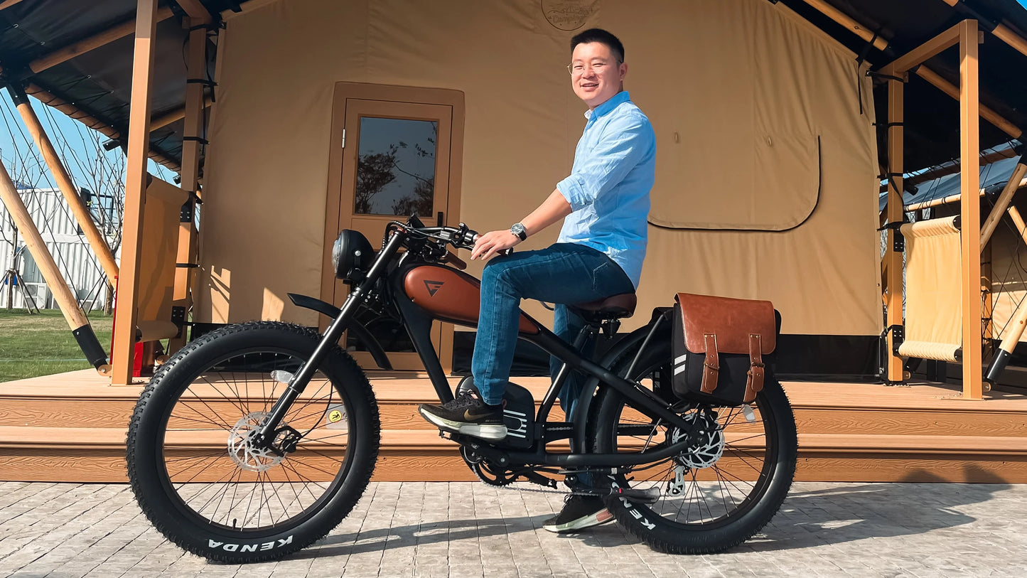 STLF OEM Factory Customized E Bike Dual Lithium Battery 750w Motor Vintage Cafe Racer Electric Bicycle Fat Tire Electric Road Bi