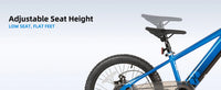 JOYSTAR Electric Bike for Kids Teens Ages 7+ with 250W Motor, 15 Miles 15MPH Electric Mountain Bicycle Safe Mini Ebikes
