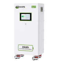 TCBWORTH 48V(51.2V) 314Ah Lithium Battery,200A BMS with CAN,RS485 Communication Interface,for Home Energy Storage,Solar System