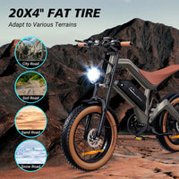 【1 Year Warranty】DYU M20 Electric Bicycle Peak 1500W Motor 48V18.2AH Lithium Battery Electric Bike Hydraulic Brake E-Bike，UL2849