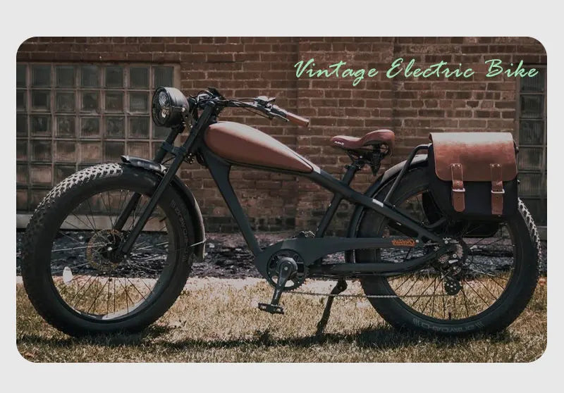 STLF OEM Factory Customized E Bike Dual Lithium Battery 750w Motor Vintage Cafe Racer Electric Bicycle Fat Tire Electric Road Bi