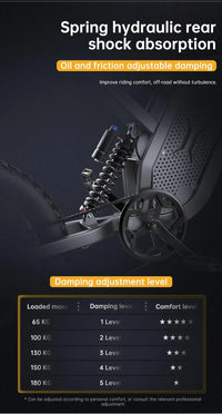 EKXBike X21 Readygo Adult E-bike 2000W Powerful Motor 48V35AH Battery 55km/h Speed 20'x4.0 Tires Ideal for Snow Mountain Terrain