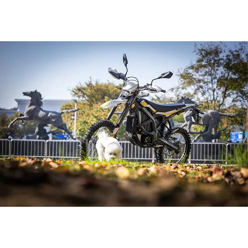SXLL 2025 electric off-road motorcycle 12500W, suitable for mid-motor 60V 10.5Ah integrated battery, 3-speed, aluminum alloy fra