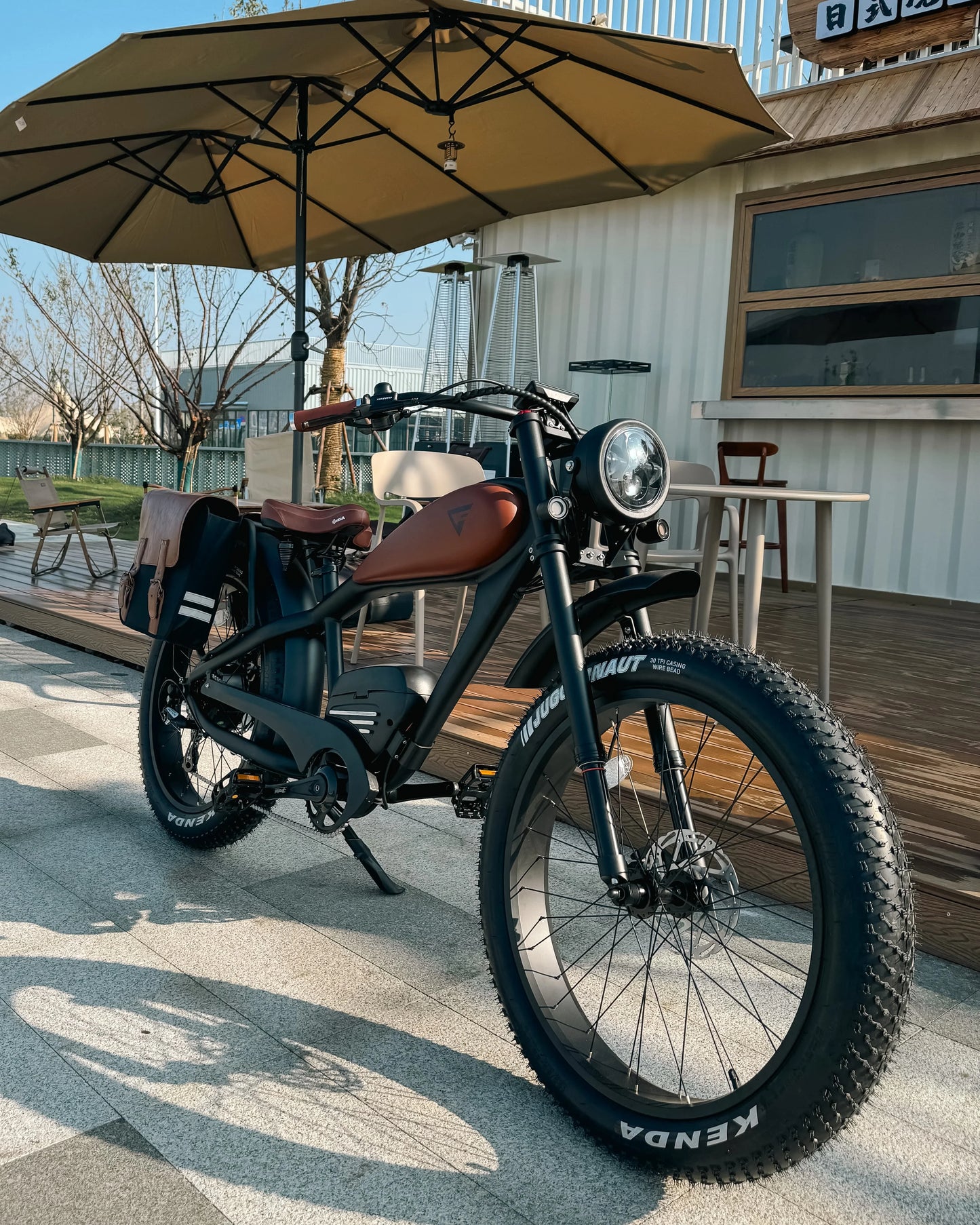 STLF OEM Factory Customized E Bike Dual Lithium Battery 750w Motor Vintage Cafe Racer Electric Bicycle Fat Tire Electric Road Bi