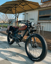 STLF OEM Factory Customized E Bike Dual Lithium Battery 750w Motor Vintage Cafe Racer Electric Bicycle Fat Tire Electric Road Bi