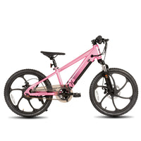 JOYSTAR Electric Bike for Kids Teens Ages 7+ with 250W Motor, 15 Miles 15MPH Electric Mountain Bicycle Safe Mini Ebikes