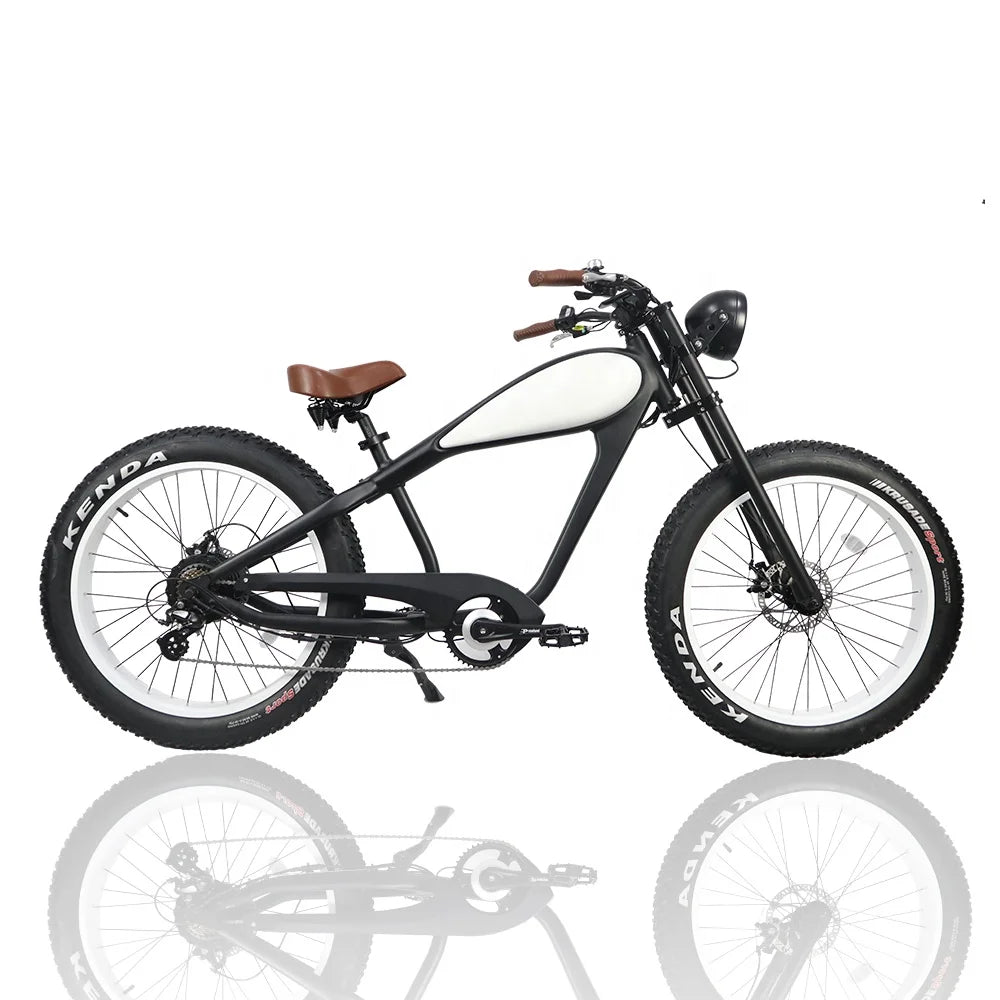 STLF OEM Factory Customized E Bike Dual Lithium Battery 750w Motor Vintage Cafe Racer Electric Bicycle Fat Tire Electric Road Bi