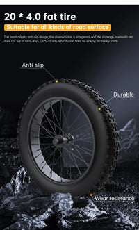 EKXBike X21 Readygo Adult E-bike 2000W Powerful Motor 48V35AH Battery 55km/h Speed 20'x4.0 Tires Ideal for Snow Mountain Terrain